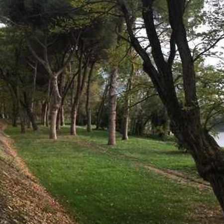 Pisa Appartamento Bonaini מראה חיצוני תמונה