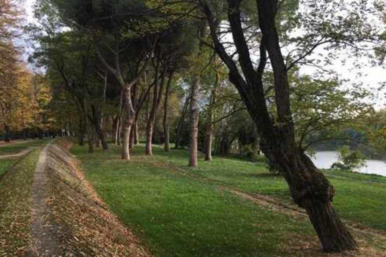 Pisa Appartamento Bonaini מראה חיצוני תמונה
